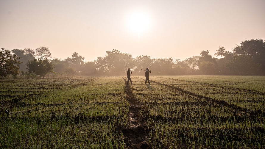 indian_farmers